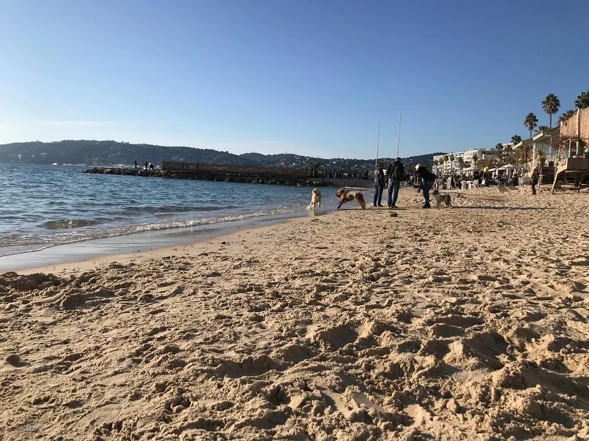 A059-New Apt With South Facing - Terrace-Near The Beach Antibes France